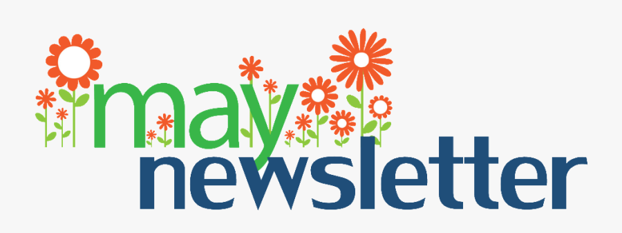 Frames Illustrations Hd Arbor - African Daisy, Transparent Clipart