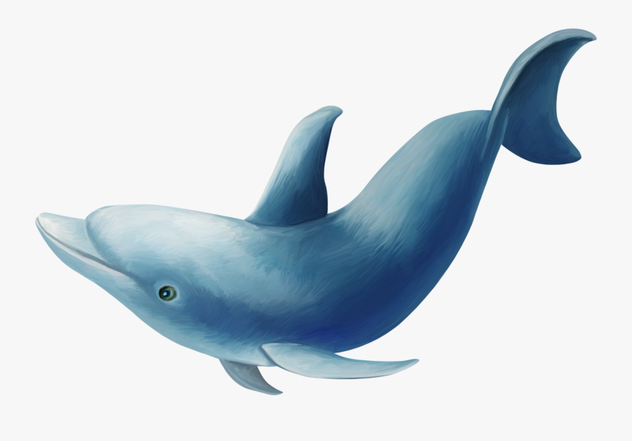 Transparent Bottlenose Dolphin Clipart - Delfin Png, Transparent Clipart