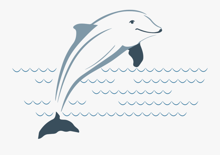 Dds Vs Png Dolphin Clipart Library Stock, Transparent Clipart