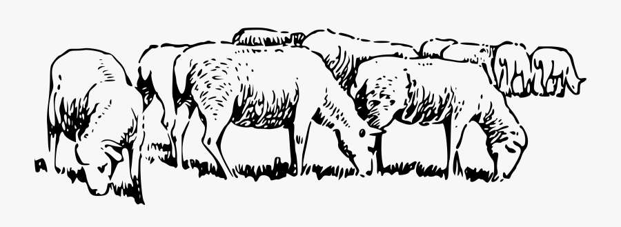 Sheep Grazing Clip Arts - Flock Of Sheep Clipart Black And White, Transparent Clipart