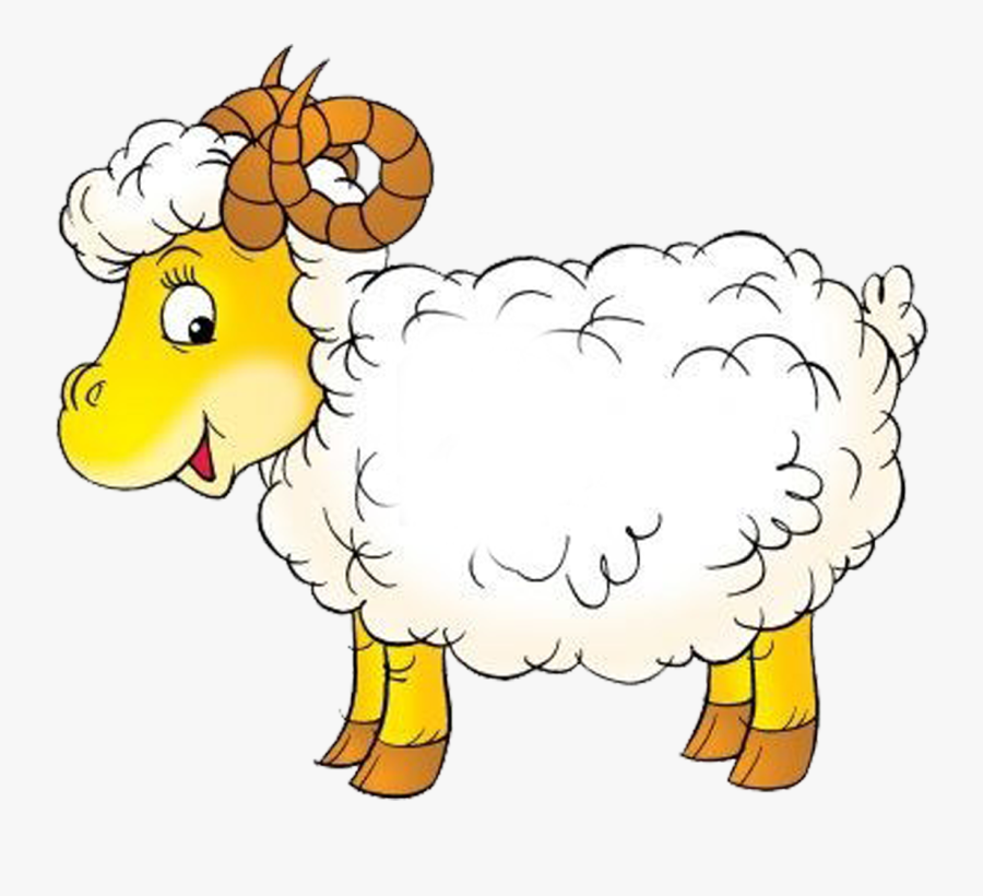 Lamb, Goat, Sheep, Baby Lamb, Baby Sheep Clipart , - Sheep Outline, Transparent Clipart