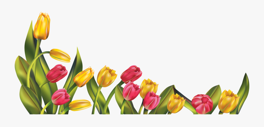 Clip Art May Border Clipart - Tulips Png, Transparent Clipart