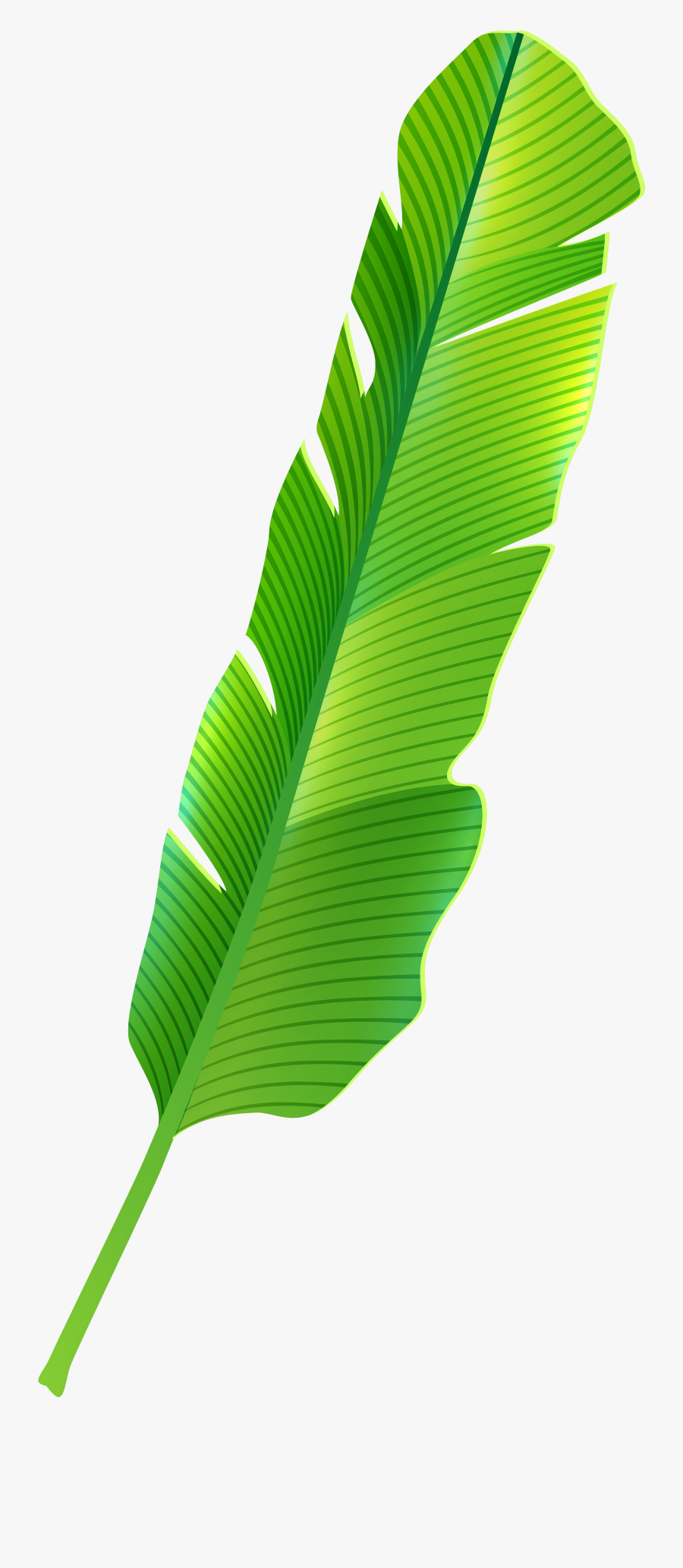 Tropical Leaf Png Clip Art - Tropical Leaves Clipart Png, Transparent Clipart