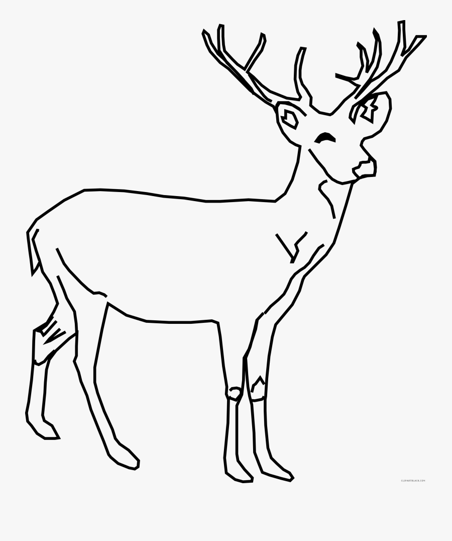 Whitetail Buck Deer Sketch Clip Art Download - Deer Clipart Black And White, Transparent Clipart