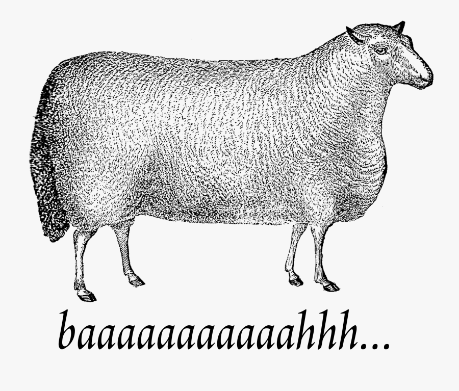Vintage Clipart Sheep - Sheep, Transparent Clipart