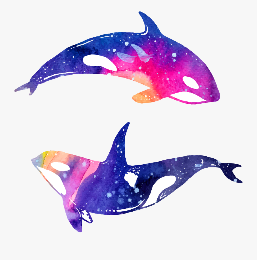 Watercolor Paintings Of Dolphins - Dolphin Watercolor Png, Transparent Clipart