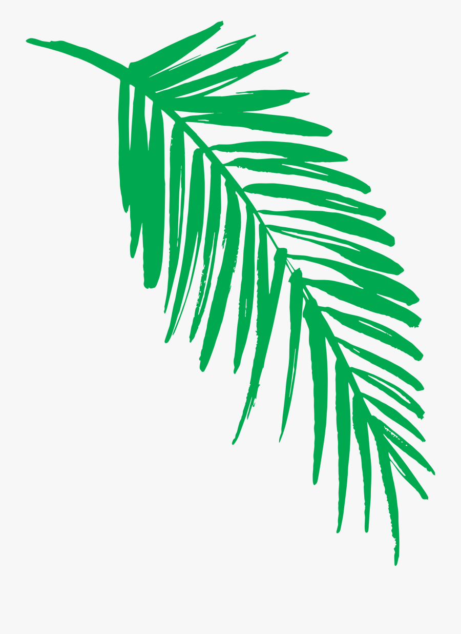 Leaf Clipart Fern - Jungle Leaf Clip Art, Transparent Clipart
