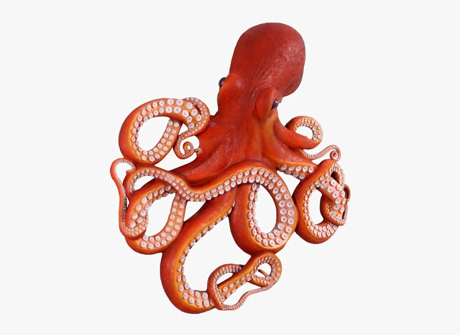 Octopus Png Clipart - Octopus Png, Transparent Clipart