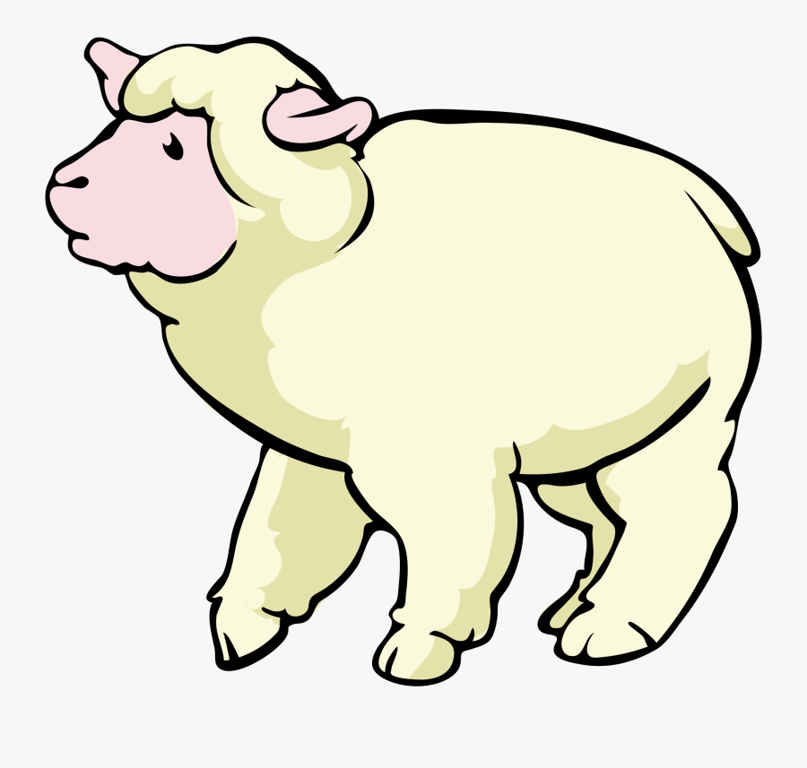 Png Sheep Cartoon Transparent - Cartoon Sheep Png, Transparent Clipart