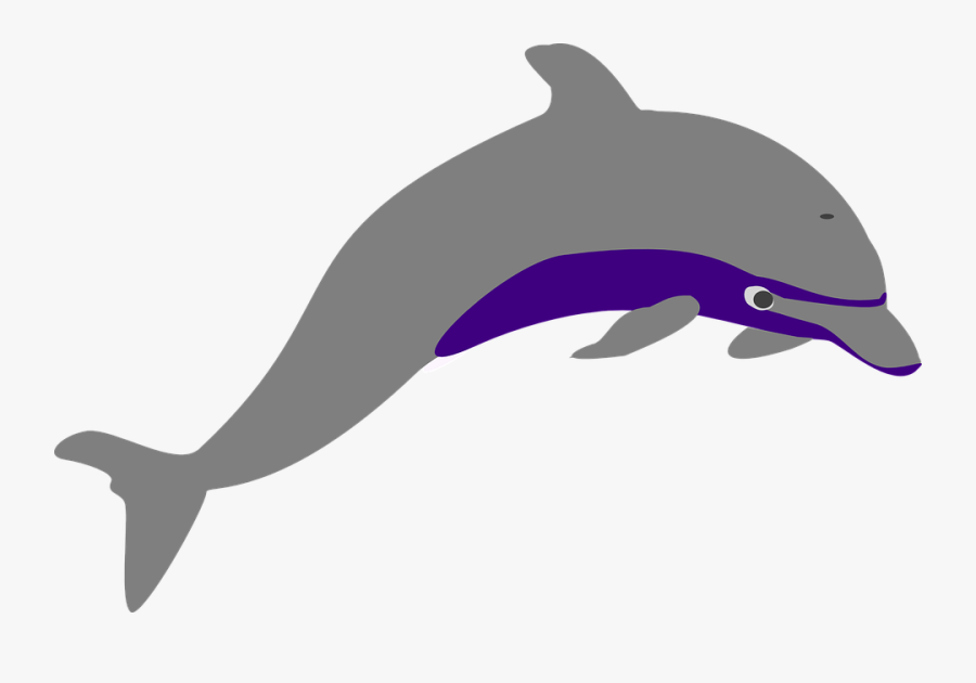 Dolphin Vector 11, Buy Clip Art - Dolphin Clipart Transparent, Transparent Clipart