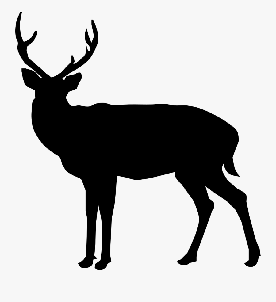 Buck Deer Silhouette - Deer Antler Black And White Transparent, Transparent Clipart