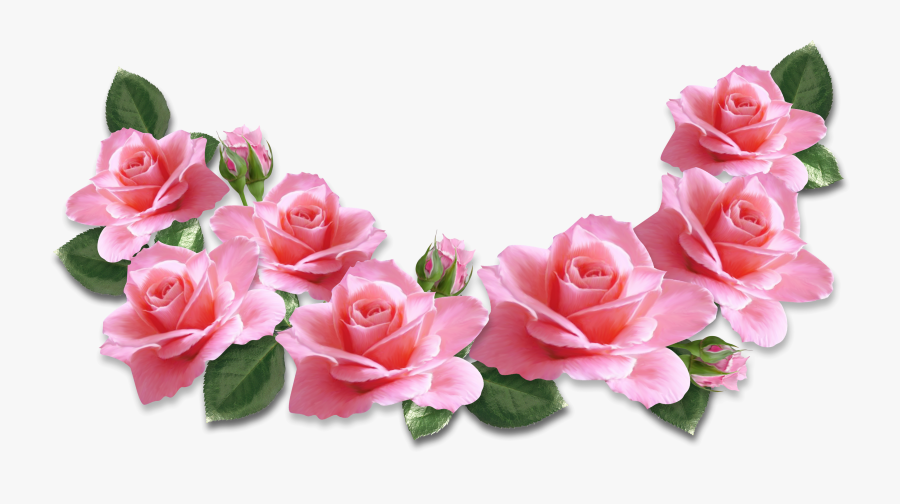 Pink Roses Decoration Png Clipart Image, Transparent Clipart