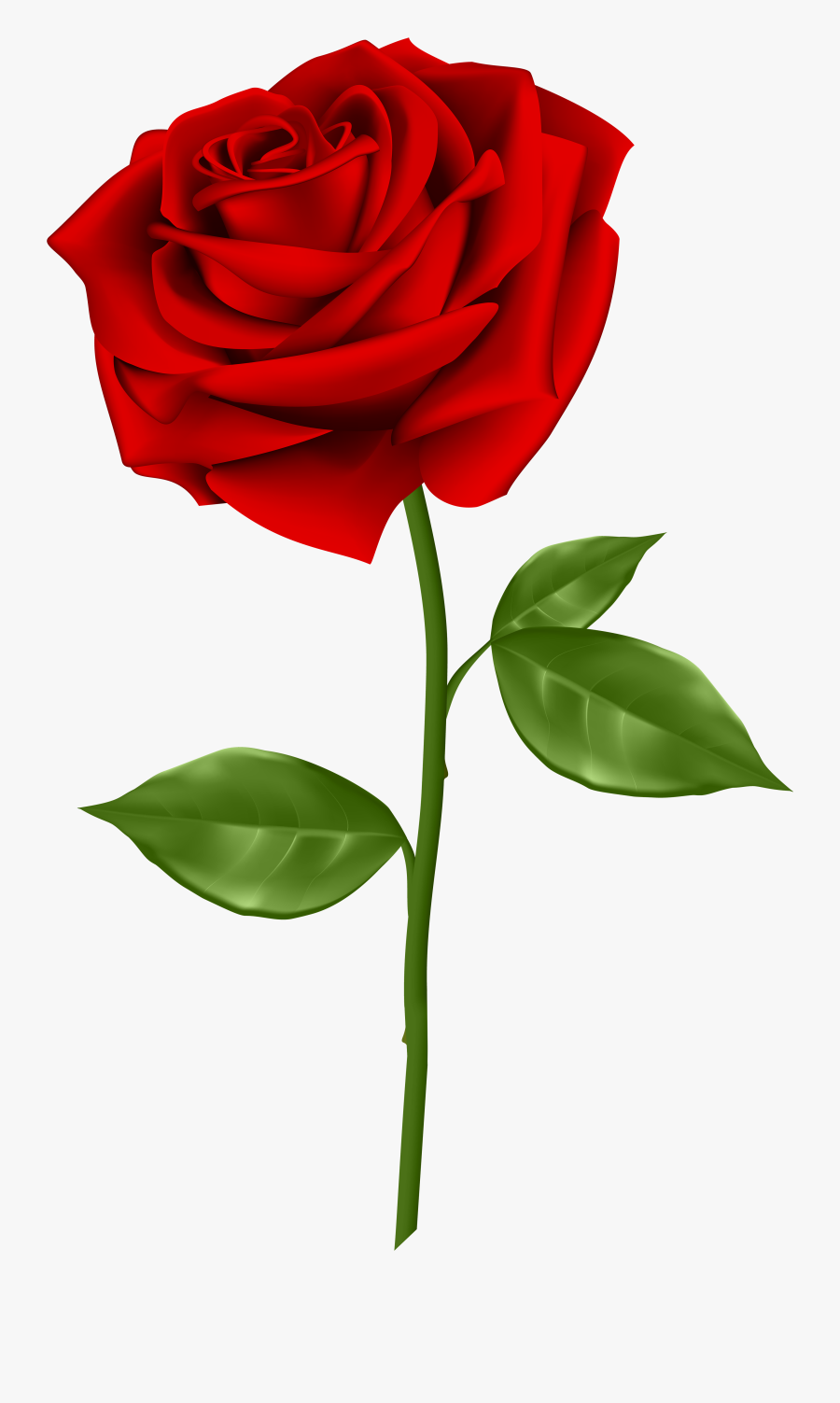 Blue Rose Clip Art - Red Rose Png Transparent, Transparent Clipart