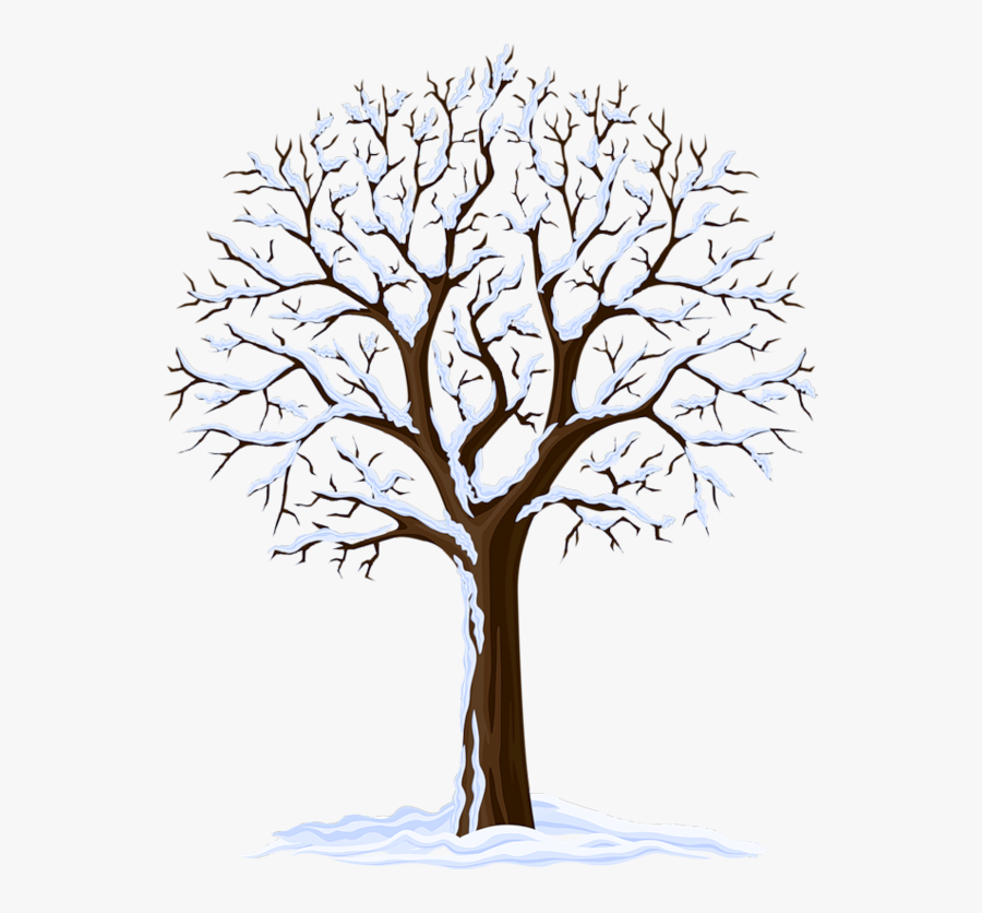 School - Winter Tree, Transparent Clipart
