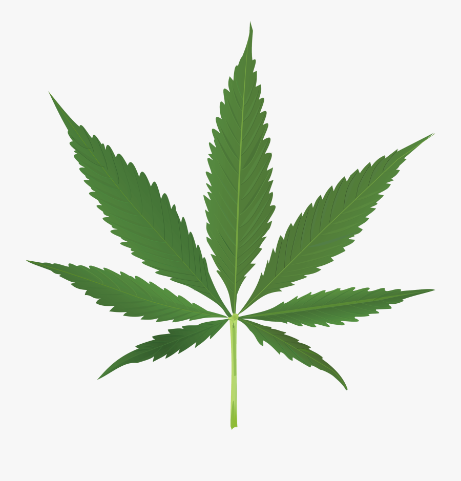 Pot Leaf Clipart No Background - Transparent Background Cannabis Leaf, Transparent Clipart