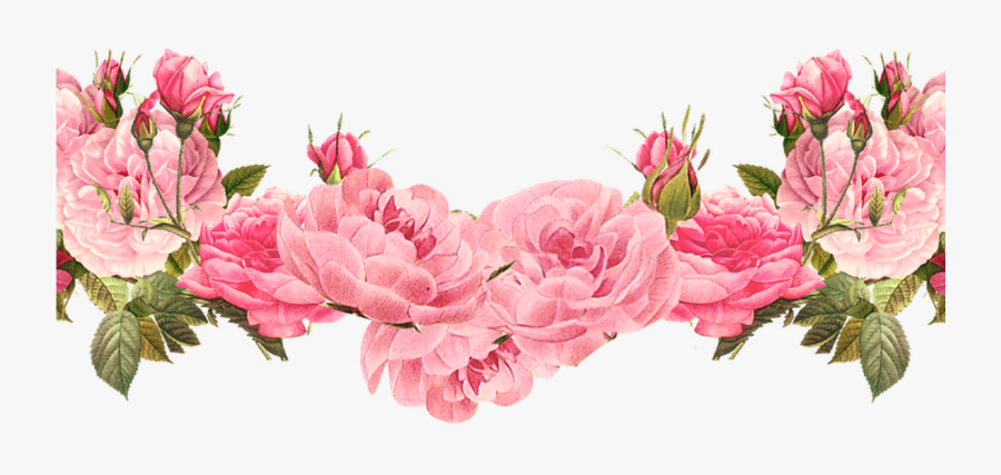 Hd Free Rose Clipart Backgrounds Borders Clipart Collection - Transparent Background Rose Border, Transparent Clipart