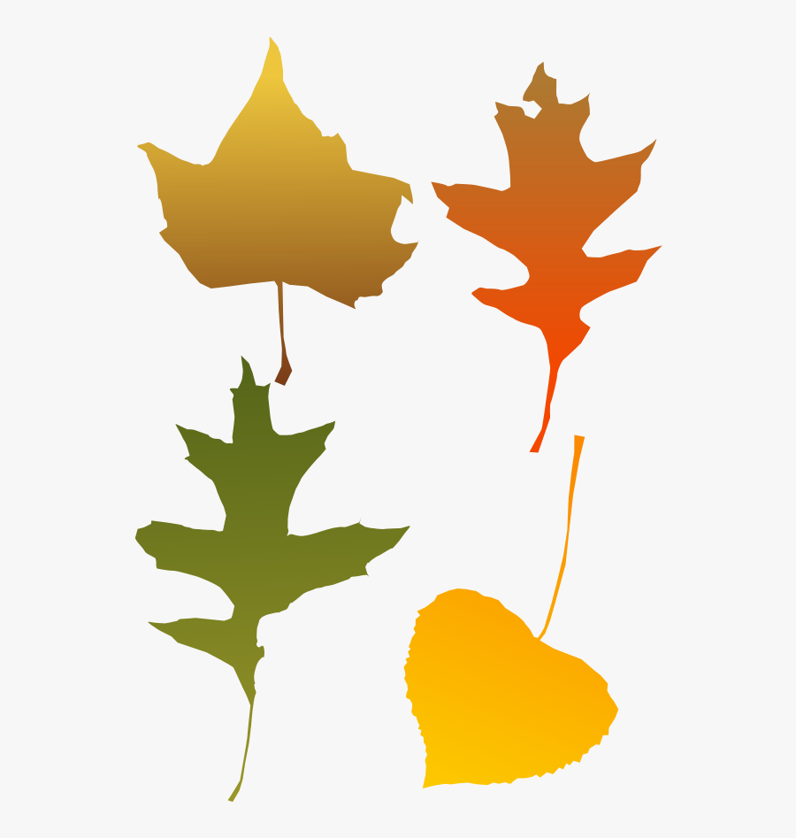 Clip Library Download Free Graphics Of Trees - Autumn Leaf Clip Art, Transparent Clipart