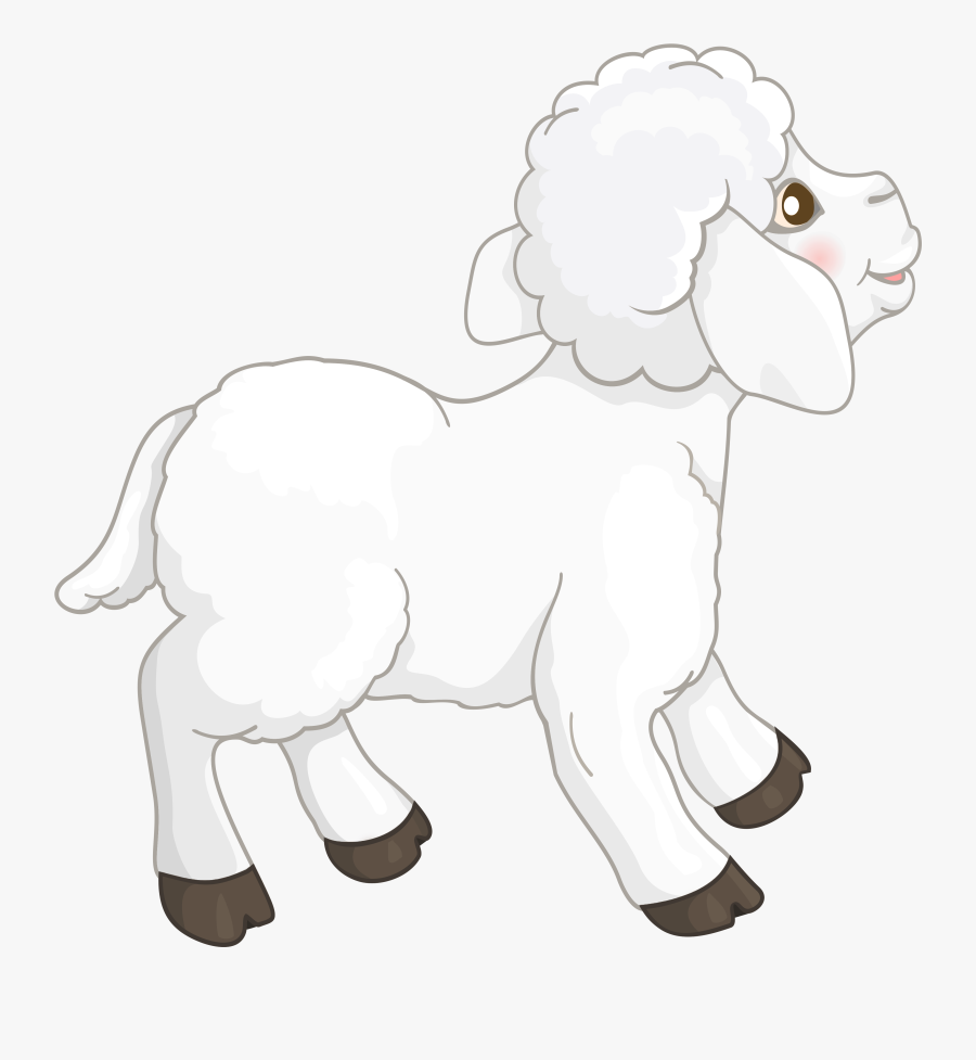 Transparent White Lamb Clipart Picture - Drawing, Transparent Clipart
