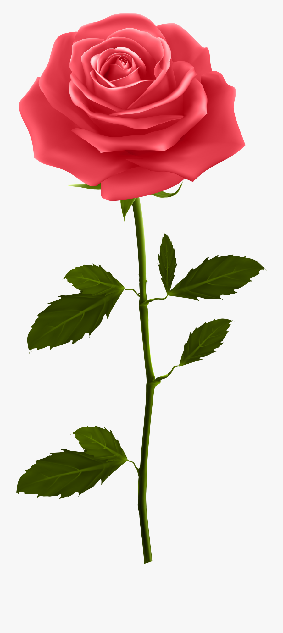 Red Rose With Stem Png Clip Artu200b Gallery Yopriceville - Happy Budhwar Good Morning, Transparent Clipart