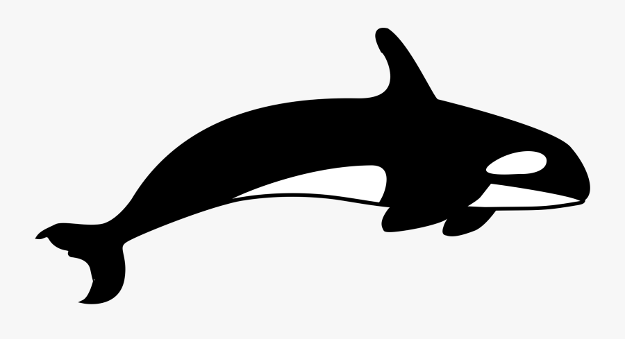 Dolphin Clipart Silhouette - Killer Whale Clipart Black And White, Transparent Clipart