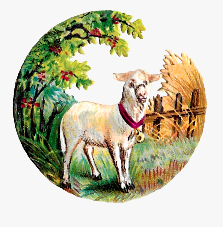 Dog Catches Something, Transparent Clipart