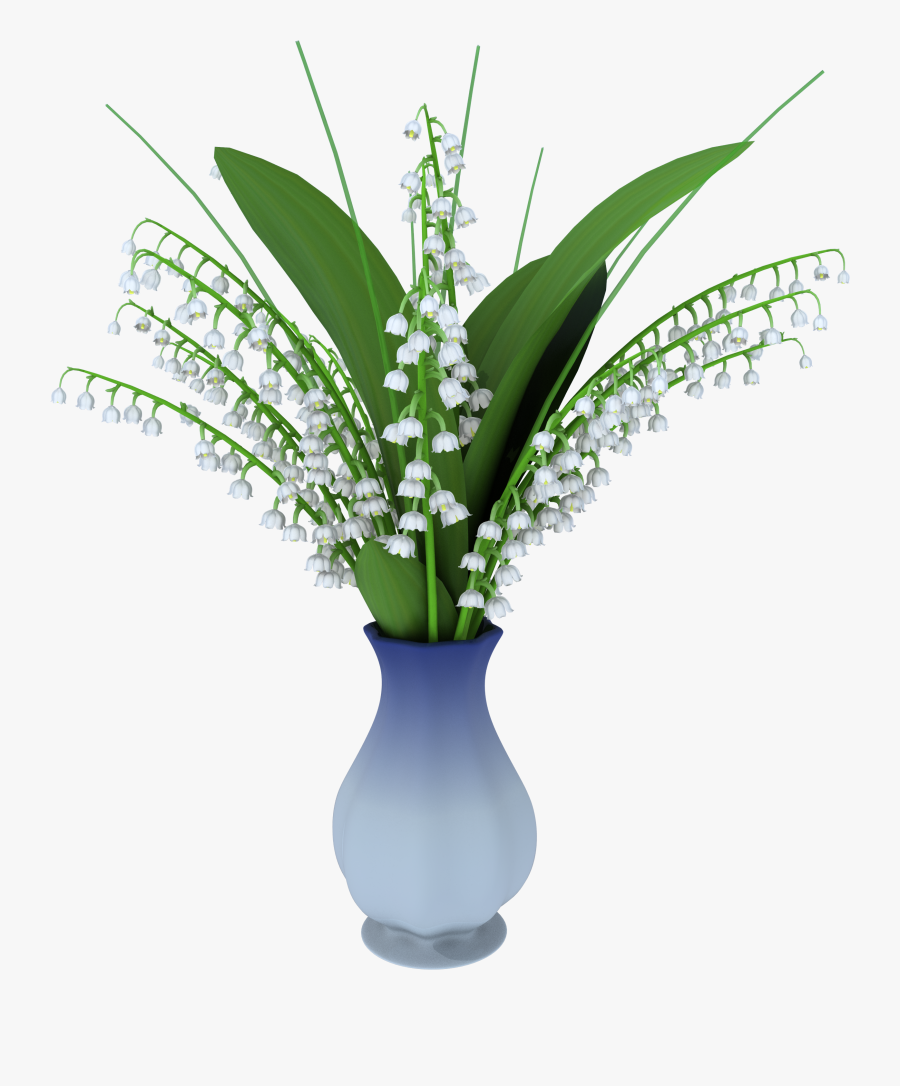 May Lily In Vase Png Clipart Picture - 3d Computer Graphics, Transparent Clipart