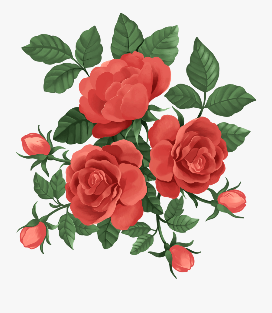 Floribunda, Transparent Clipart