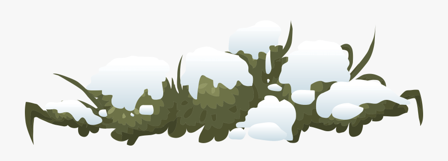 Bush, Shrub, Snow, Nature, Green, Winter, Snowfall, Transparent Clipart