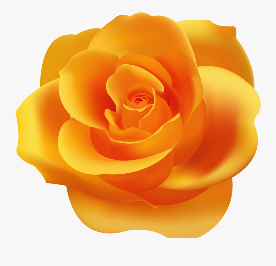 Clipart Rose Orange, Transparent Clipart