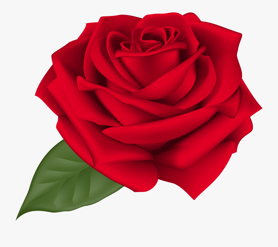 Free Rose Clipart At Getdrawings, Transparent Clipart