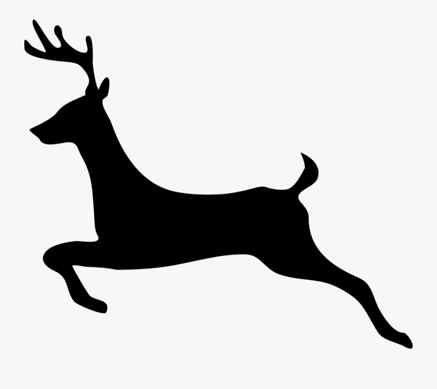 Transparent Deer Head Png - Deer Clip Art, Transparent Clipart