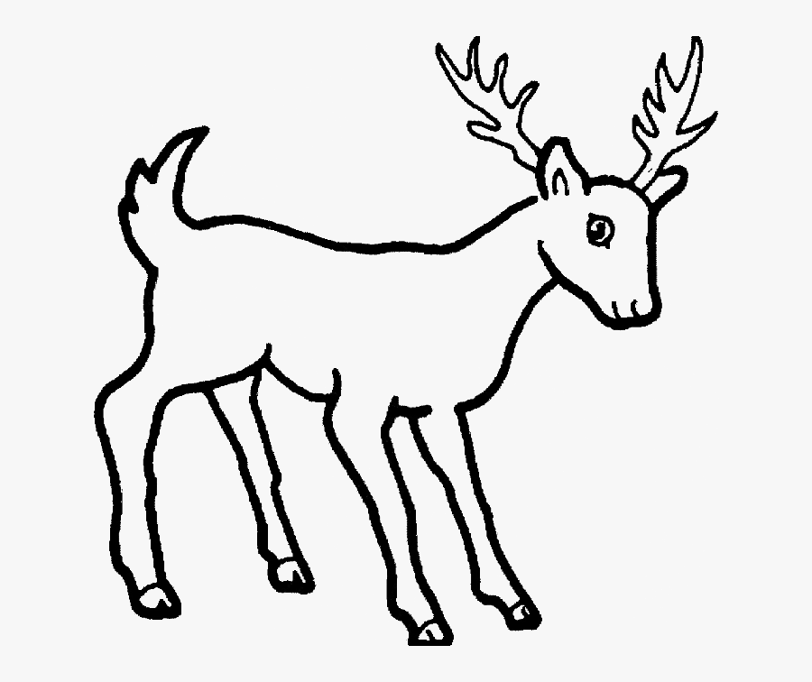 28 Collection Of Deer Clipart Easy - Wild Animal Outline Of Animals, Transparent Clipart