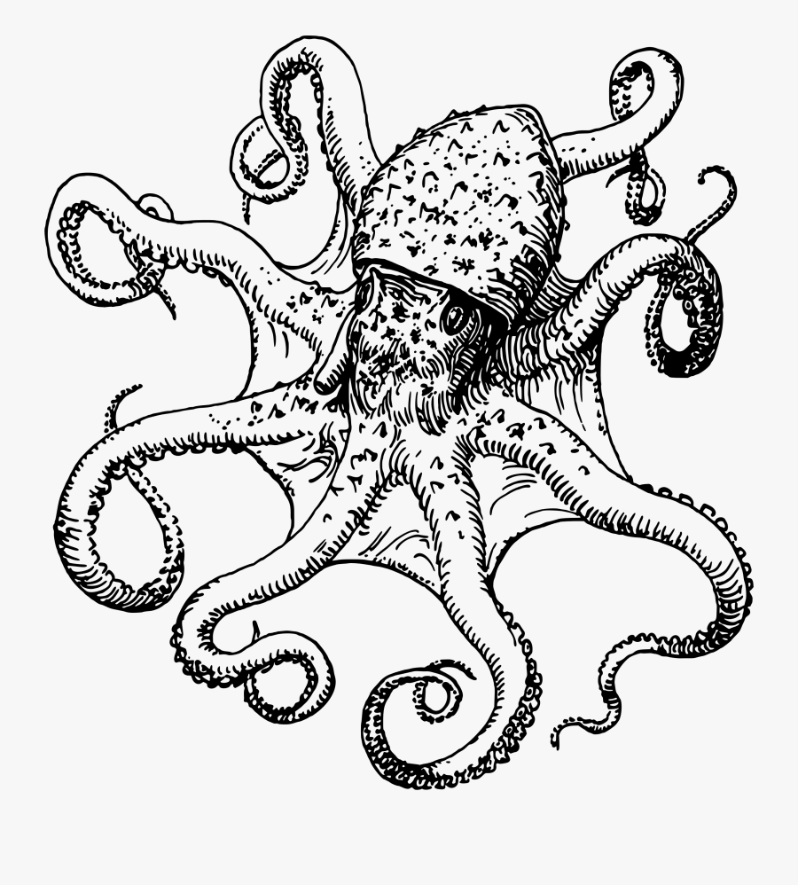 Octopus Clipart Drawn - Black And White Octopus Clipart, Transparent Clipart