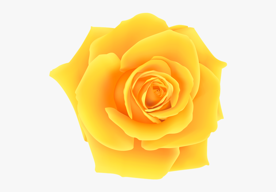 Yellow Png Clip Art - Yellow Rose Clipart Png, Transparent Clipart