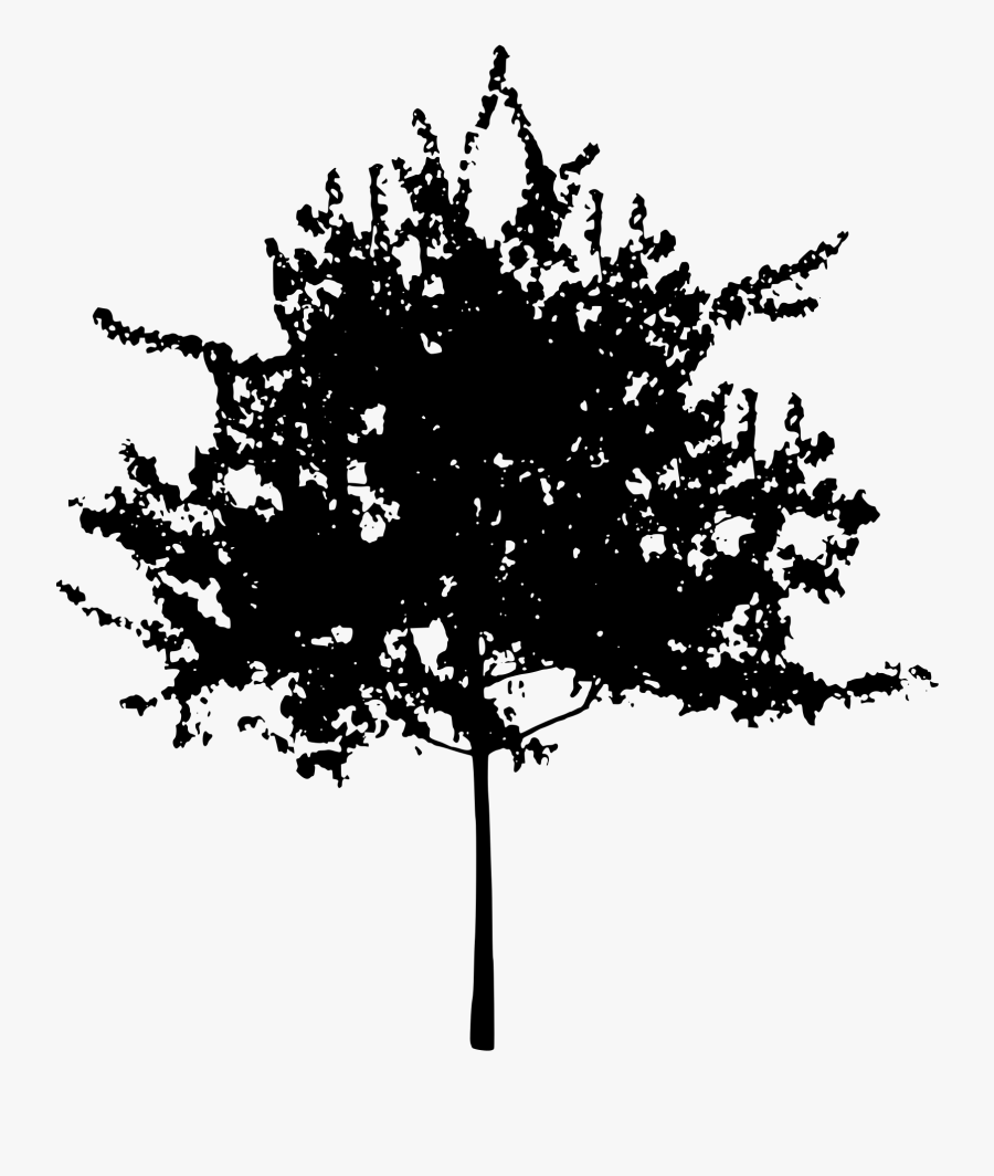 Source - Openclipart - Org - Report - Tall Pine Tree - Small Tree Silhouette Png, Transparent Clipart