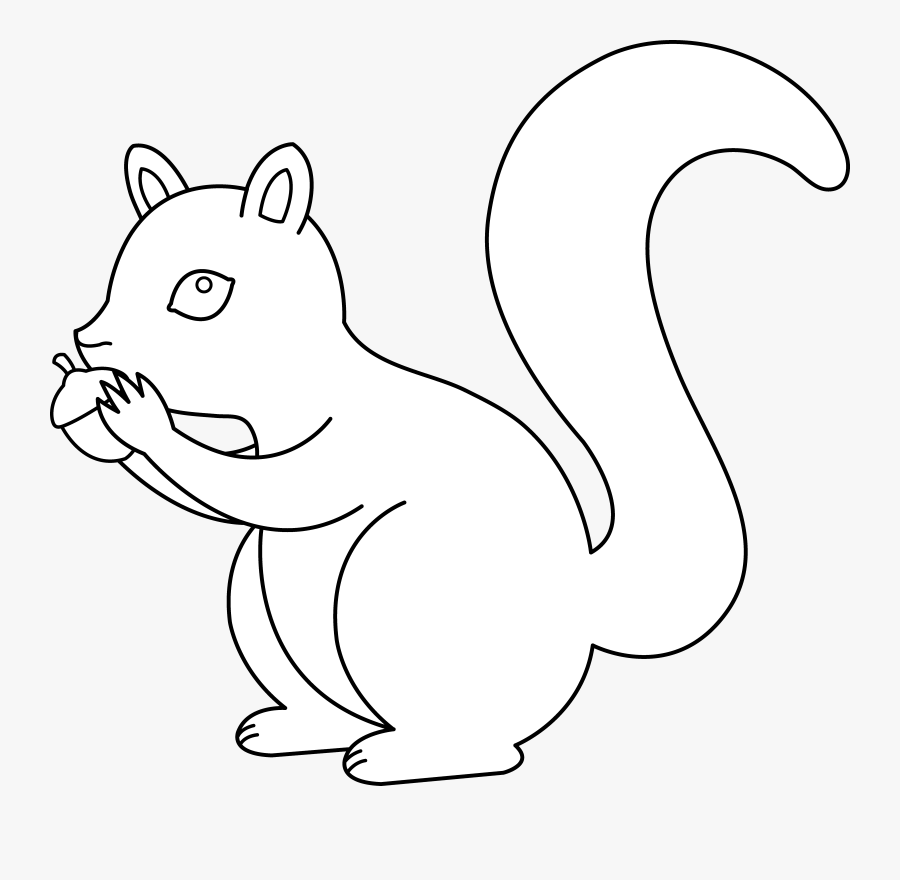 Transparent Acorn Clipart Png - White Squirrel Black Background, Transparent Clipart