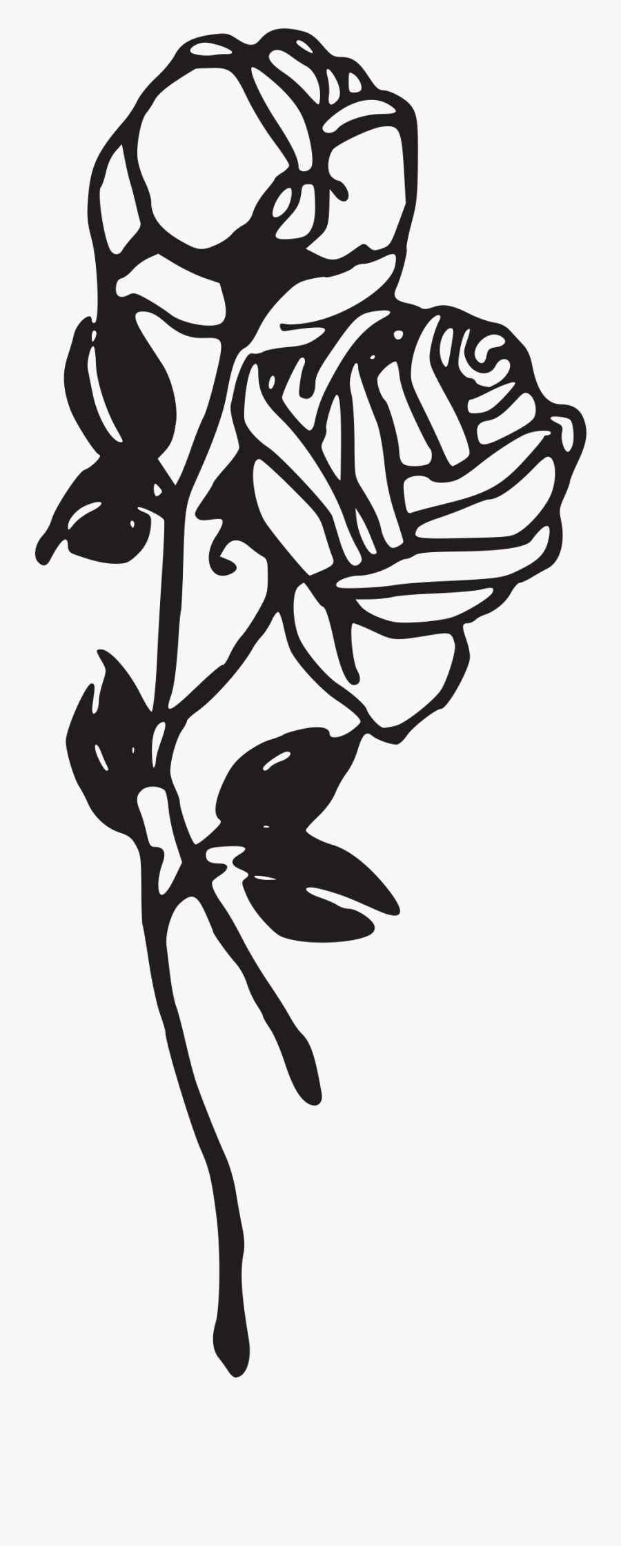 Two Roses - Finding Your Old Love, Transparent Clipart