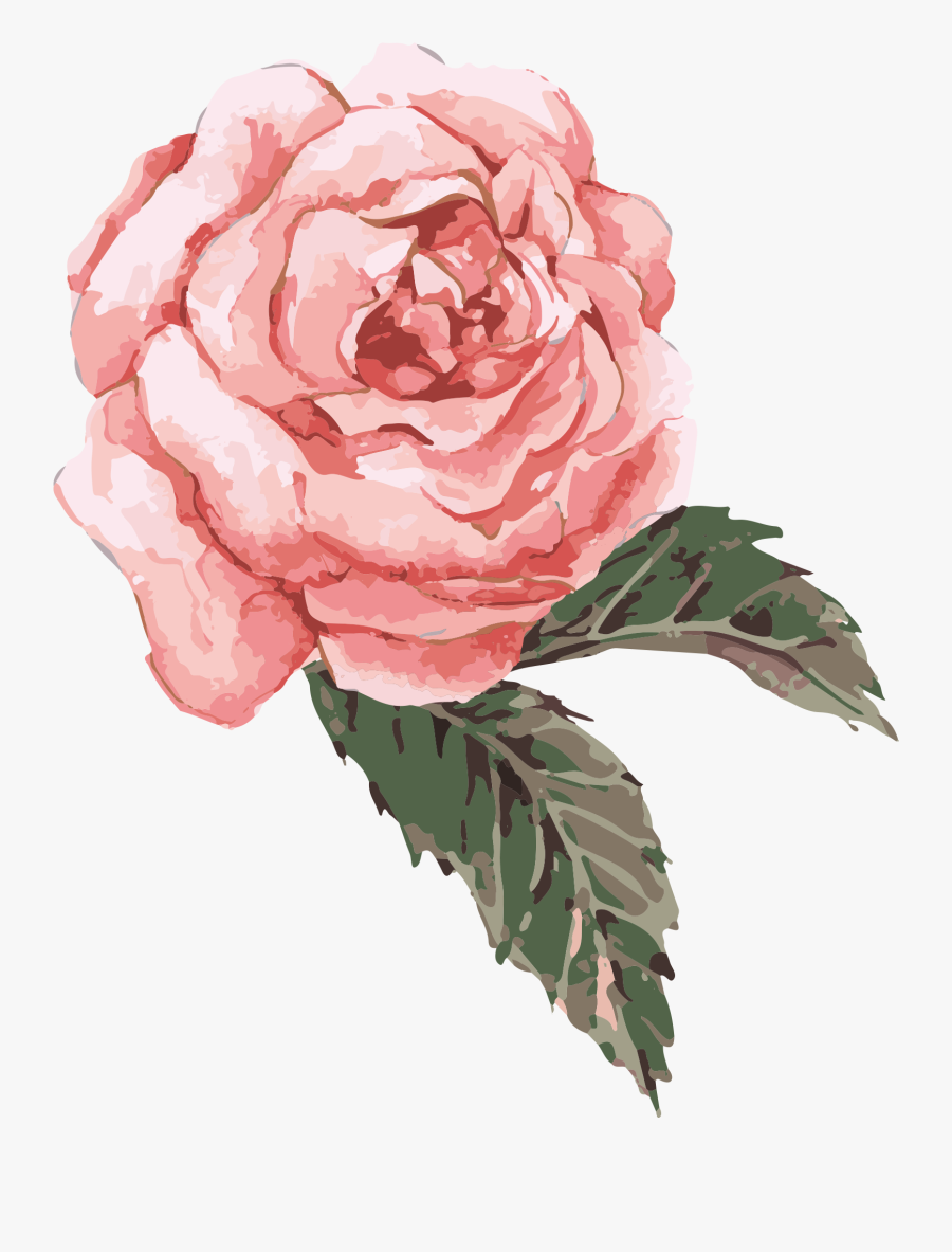 Transparent Watercolor Flowers - Pink Flower Watercolor Png, Transparent Clipart