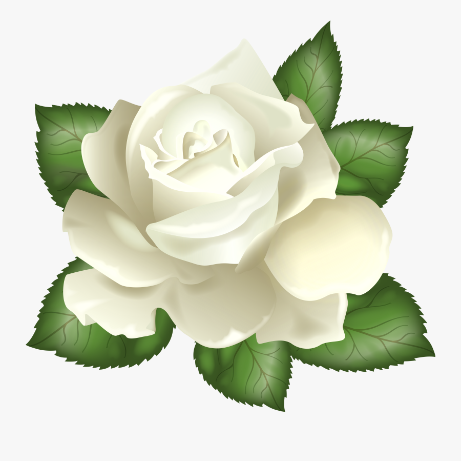 Art Patterns, Pattern Art, Rose Clipart, Clip Art Pictures, - White Rose Transparent Background, Transparent Clipart
