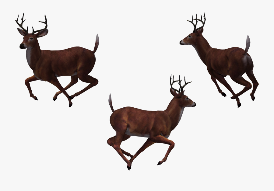 Buck Deer Clipart At Getdrawings - Group Of Deer Png, Transparent Clipart