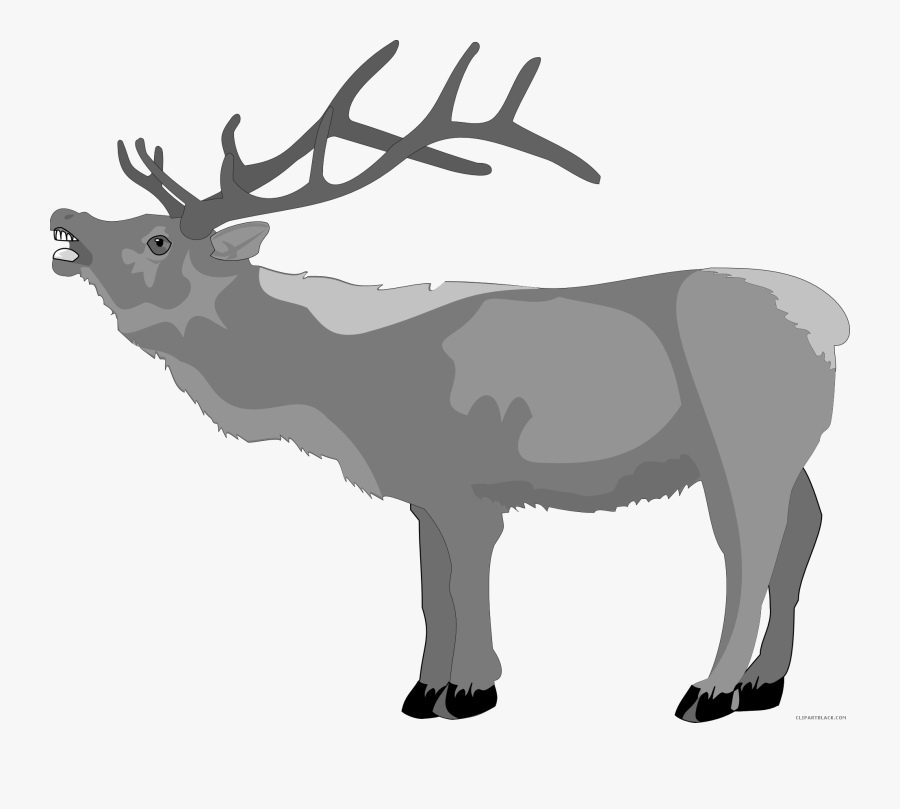 Christmas Reindeer Animal Free Black White Clipart - Christmas Deers Black And White, Transparent Clipart