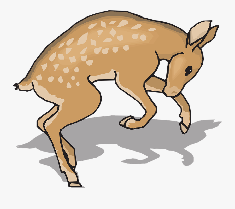 Fawn, Animal, Deer, Nature, Wildlife, Young, Natural - Gambar Anak Rusa Kartun, Transparent Clipart