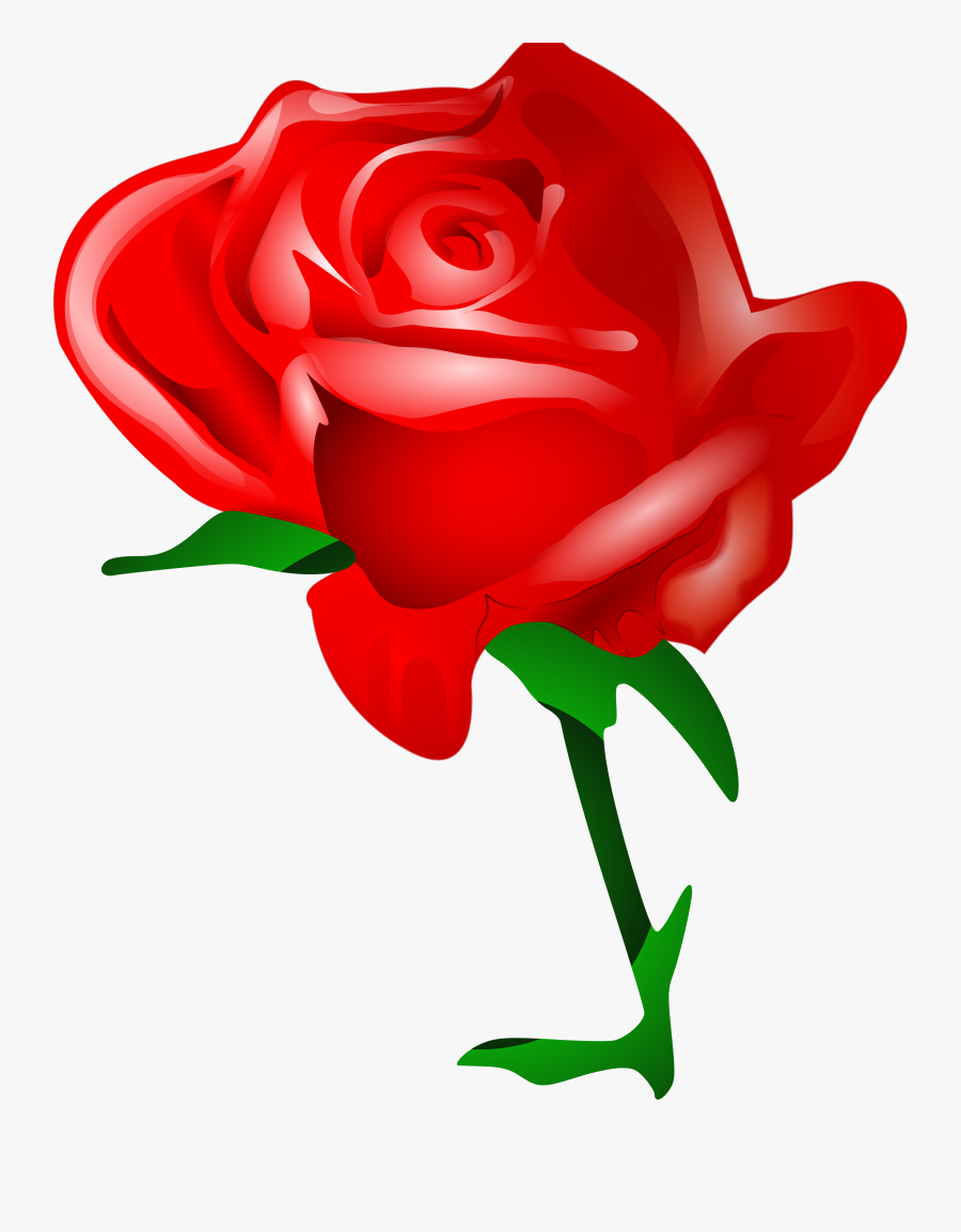 Red Rose Clip Art - Download Rose Flower, Transparent Clipart