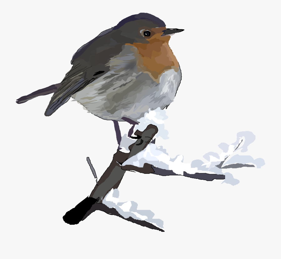 Collection Of Winter - Robin In Snow Clip Art, Transparent Clipart