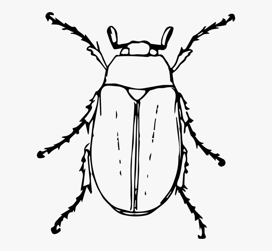 Symmetry,monochrome Photography,beetle - Black And White Beetle Clipart, Transparent Clipart