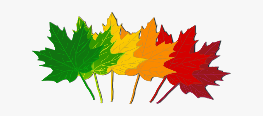 November Free Clipart Pictures Month Of May Stunning - Leaves Change Color Clipart, Transparent Clipart