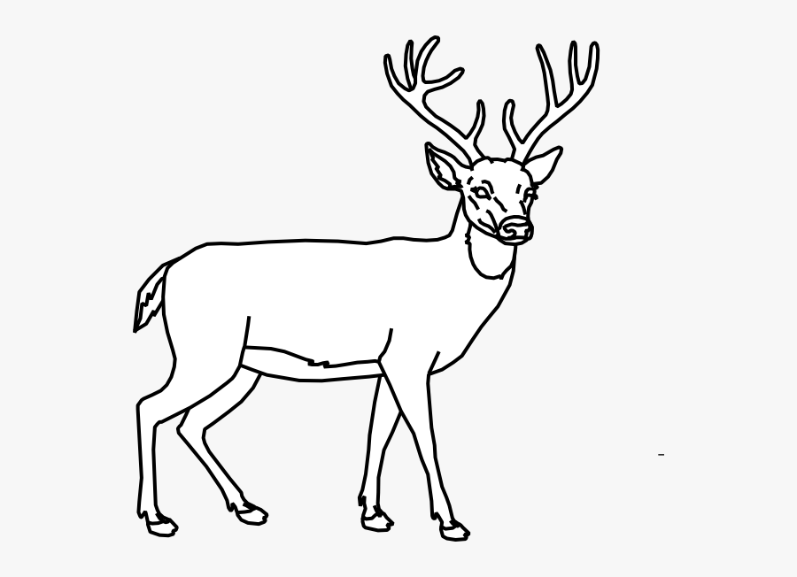 Outline Clip Art At  Cerf Facile A Dessiner , Free Transparent Clipart