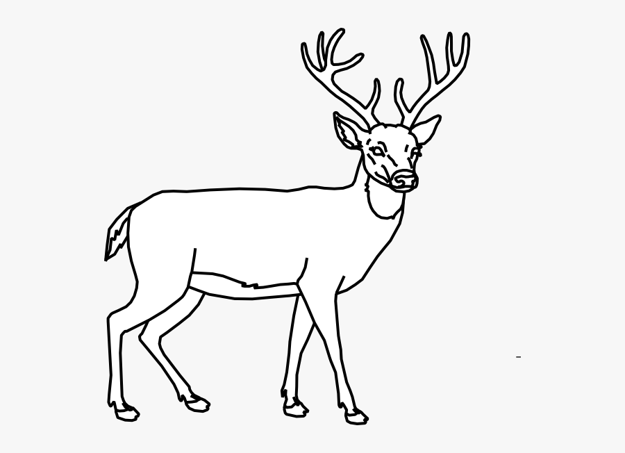 Outline Clip Art At - Cerf Facile A Dessiner, Transparent Clipart