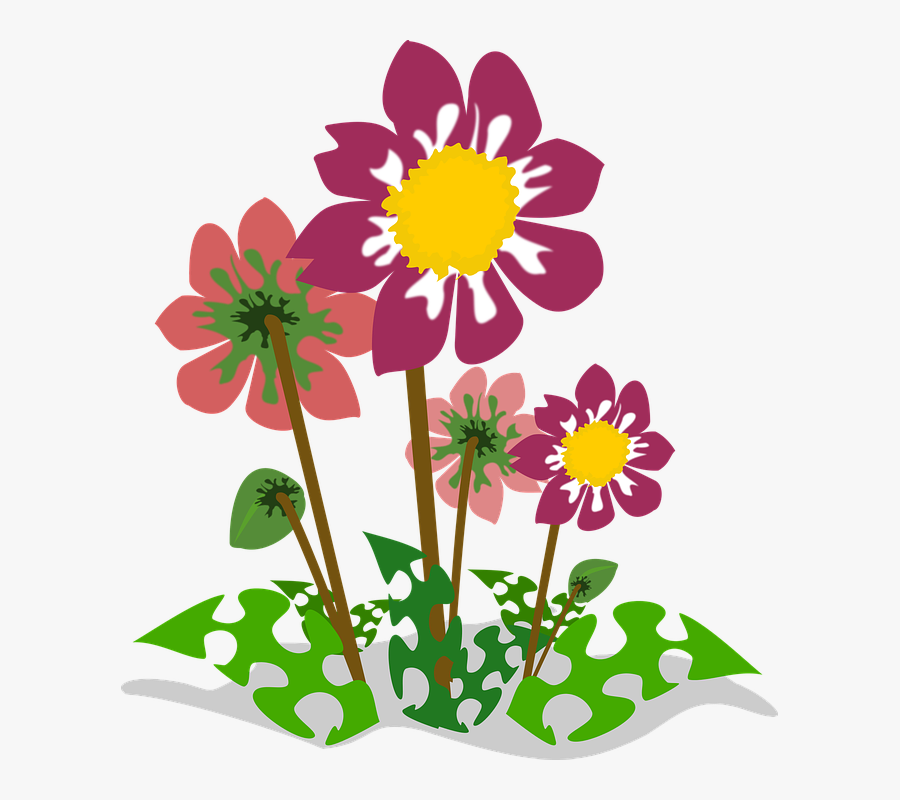 May Clip Art Nature - Daisy, Transparent Clipart