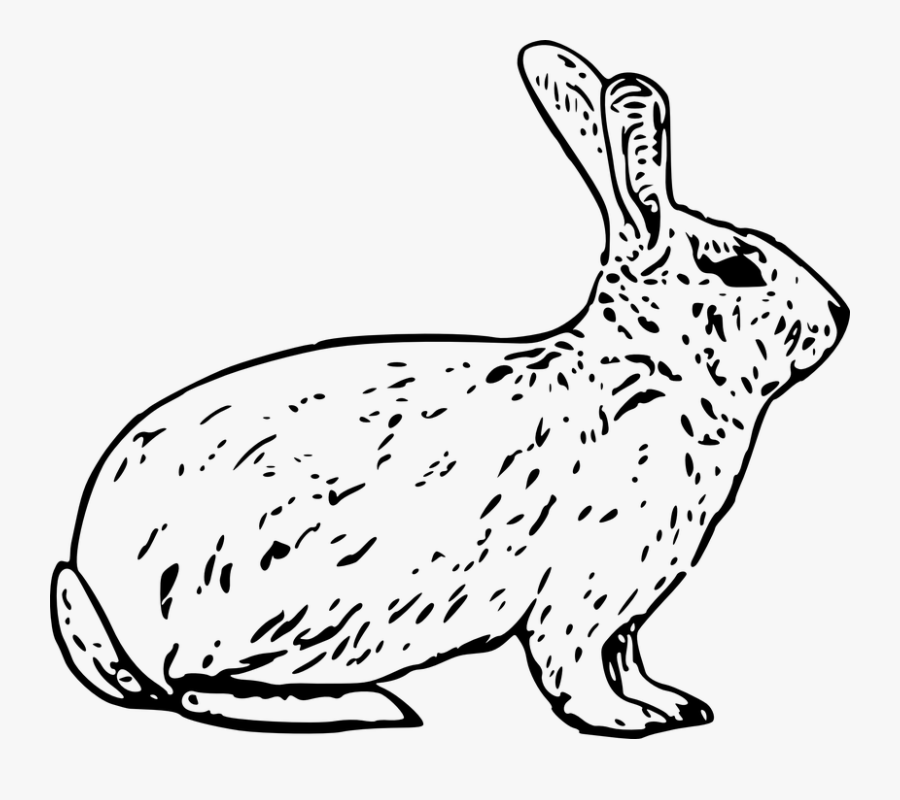 Transparent Open Clipart Commercial Use - Cortes De Carne De Conejo, Transparent Clipart